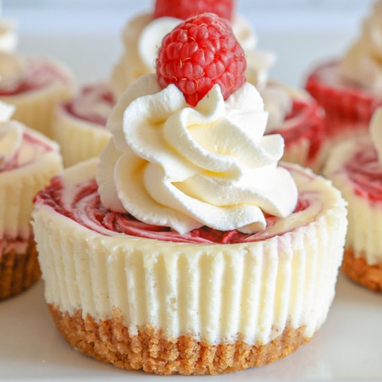 Raspberry Swirled Mini Cheesecakes