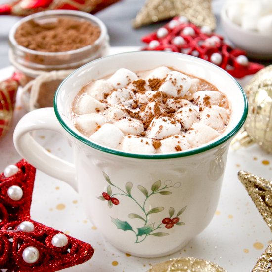 Homemade Hot Chocolate Mix