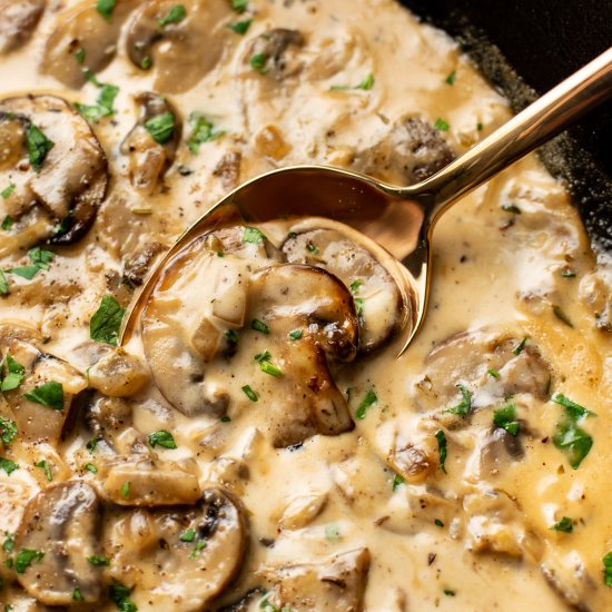 creamy mushroom sauce