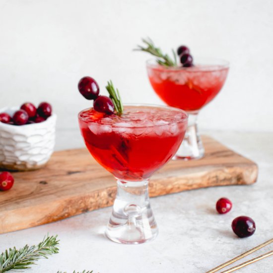 Cranberry Apple Spritz