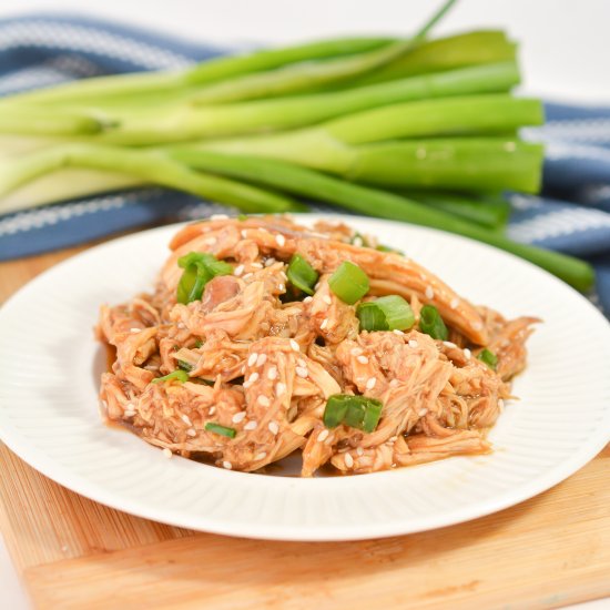 Keto Shredded Teriyaki Chicken