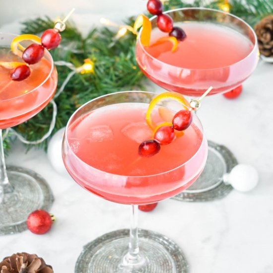 Holiday Cocktail with Cranberry