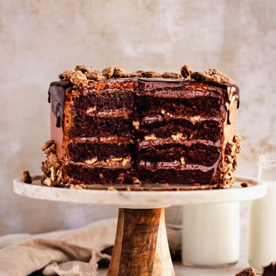 Milk Chocolate Praline Cake