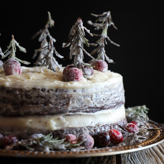 Chocolate Mascarpone Winter Cake