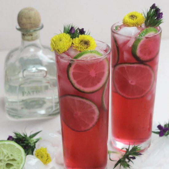 Hibiscus Tequila & Sprite Cocktail