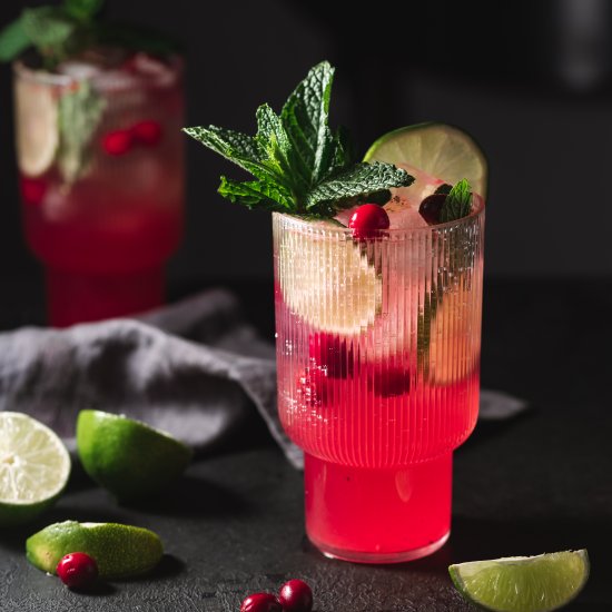 Cranberry Mint Mojito