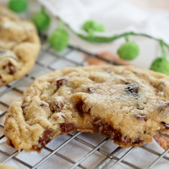 Chewy Chocolate Chip Cookies