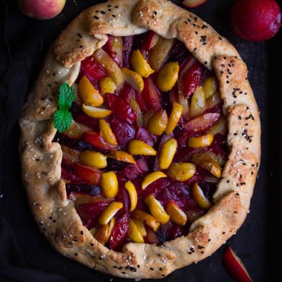 Plum Apricot Sourdough Galette