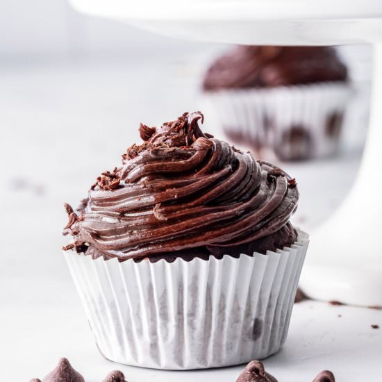 Double Chocolate Cupcakes