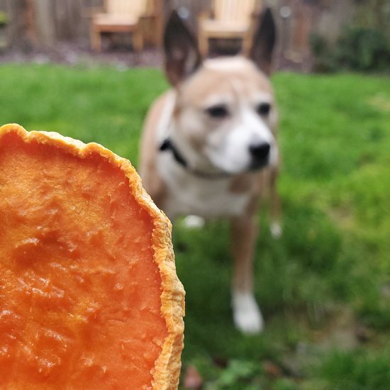 Sweet Potato Dog Chews