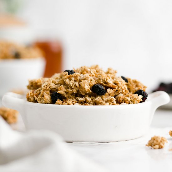 Healthy Blueberry Granola