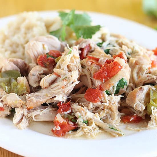 Salsa Chicken