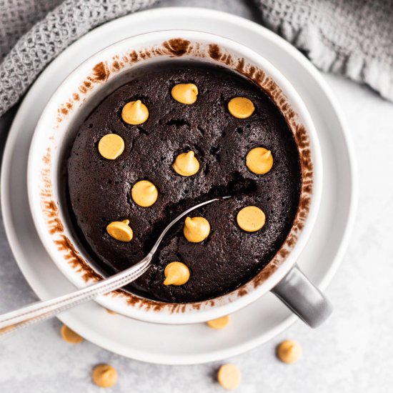 Chocolate Peanut Butter Mug Cake