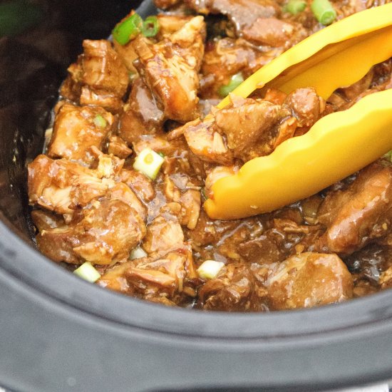 Slow Cooker Teriyaki Chicken