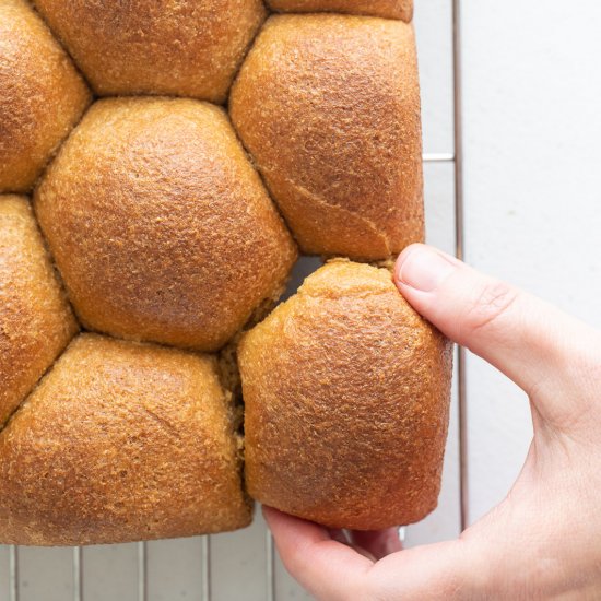 Whole Wheat Vegan Dinner Rolls