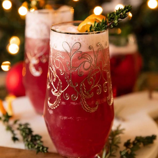 Spiced Cranberry Gin Fizz