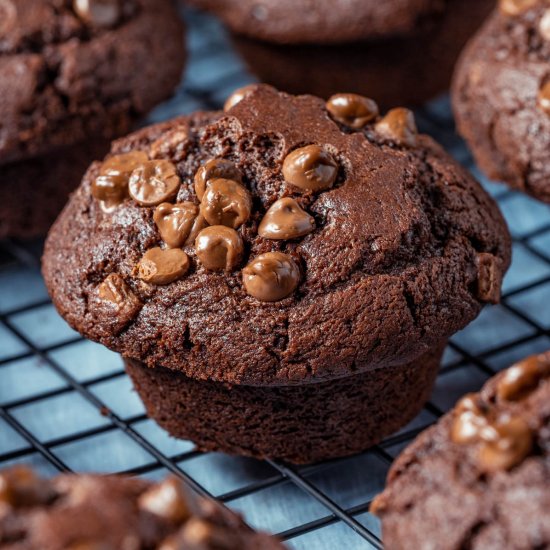 Triple Chocolate Muffins