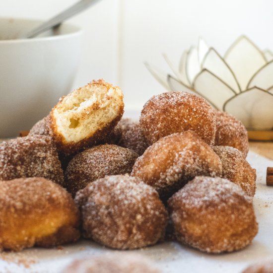 Cinnamon Sugar Pretzel Bites