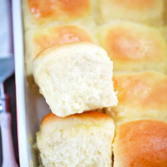 Amish Potato Dinner Roll