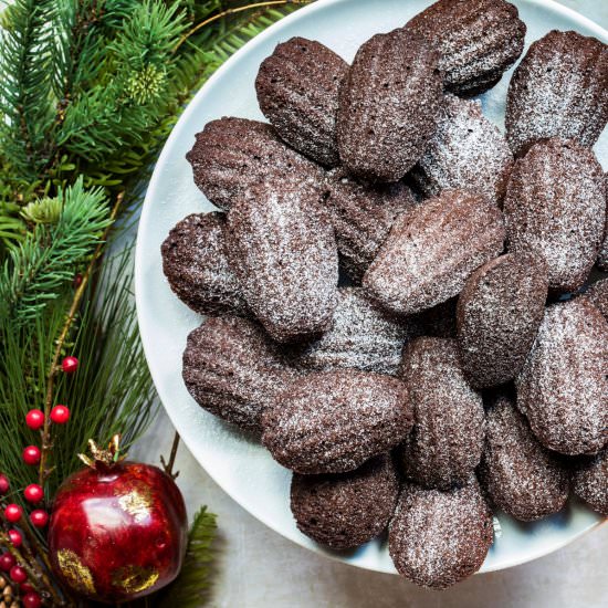 Chocolate Madeleines