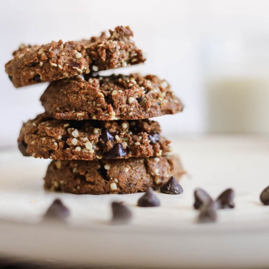 Hemp Cookies With Chocolate Chips