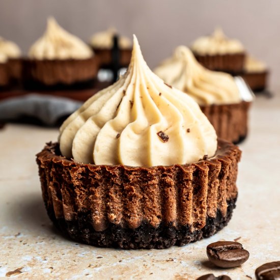 mini mocha cheesecakes