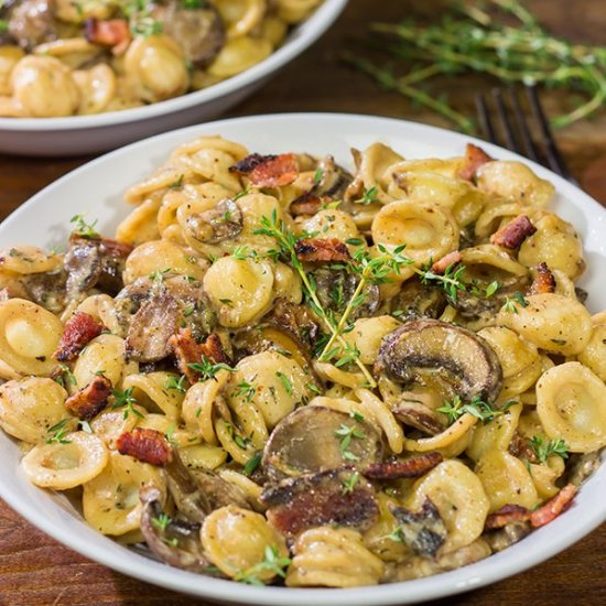 Orecchiette w/ Mushroom Thyme Sauce