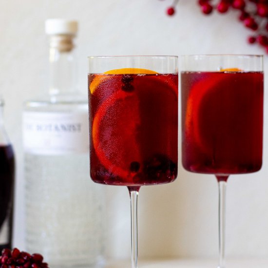 Pomegranate Gin Fizz