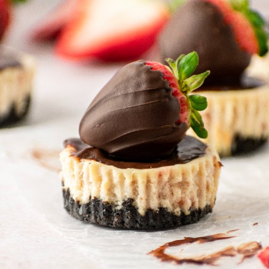 Chocolate Strawberry Cheesecake