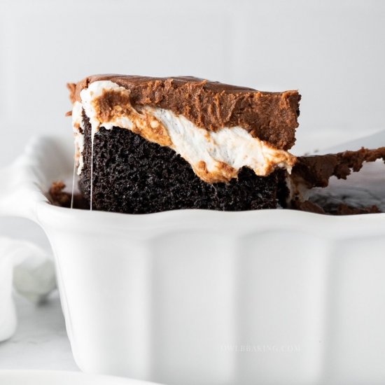 Mississippi Mud Cake