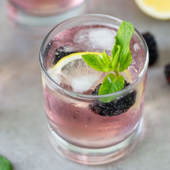 Pink Gin And Tonic Cocktail