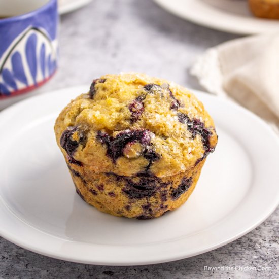 Blueberry Banana Muffins