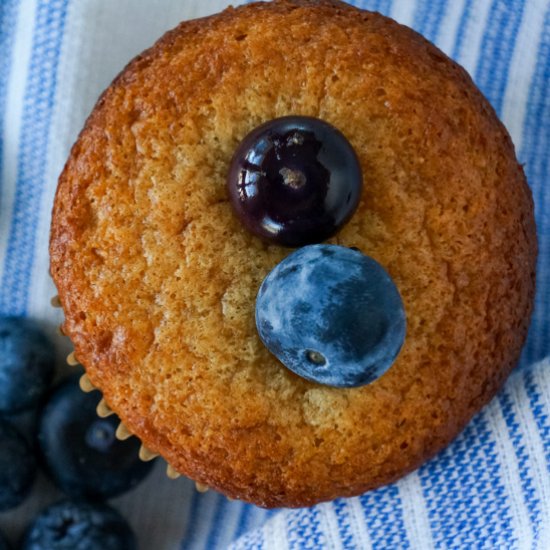 Healthy Protein Blueberry Muffins