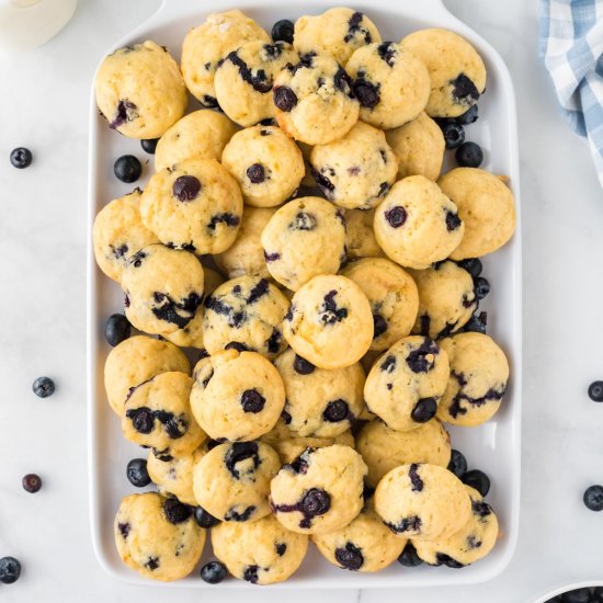 Blueberry Mini Muffins