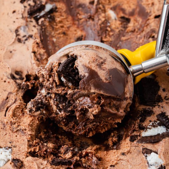 Mississippi Mud Ice Cream