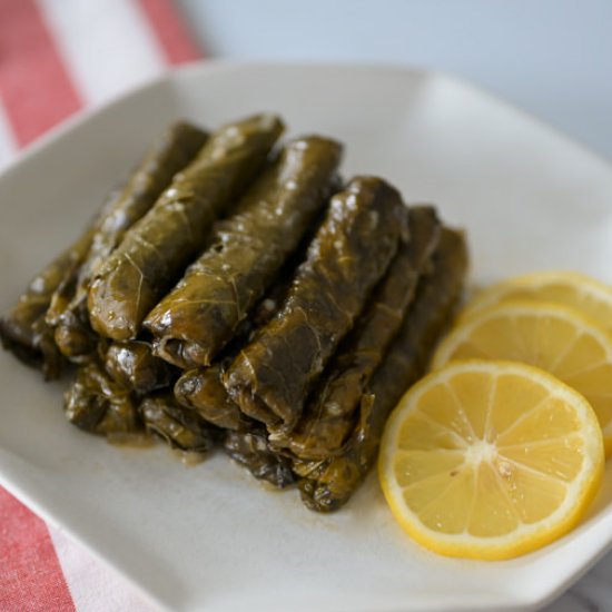 Vegetarian Stuffed Grape Leaves