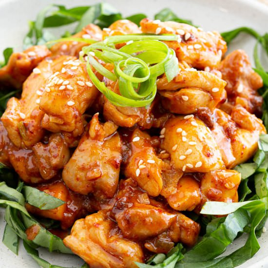 Spicy Korean BBQ Chicken Bulgogi