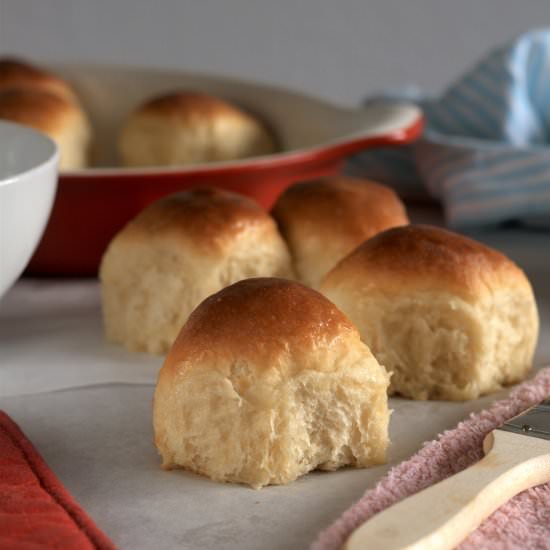 ricotta dinner rolls