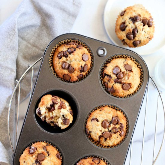 Healthy Chocolate Chip Muffins