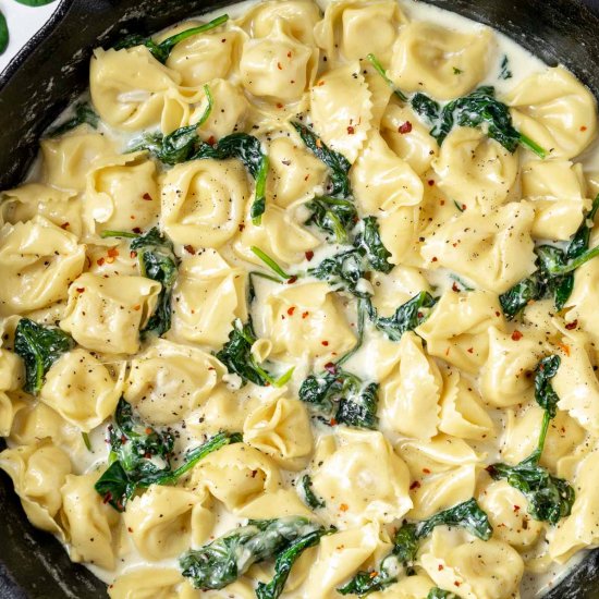 Easy Asiago Tortellini Alfredo