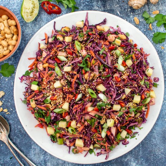 ASIAN RED CABBAGE SLAW [VEGAN]