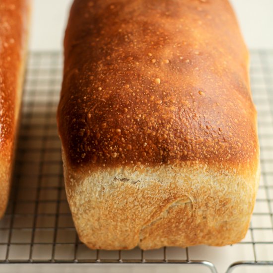 Sourdough Sandwich Bread