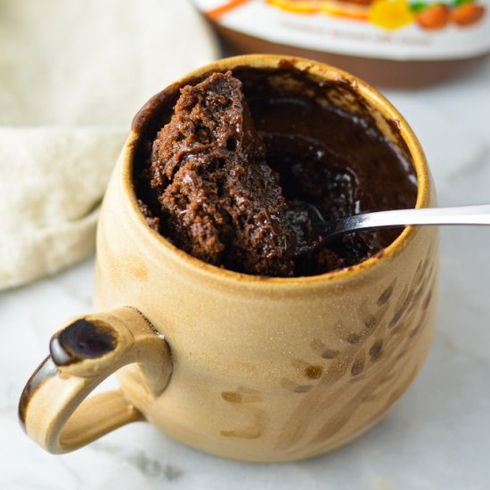 Nutella Mug Cake