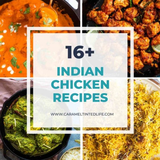 16+ Indian Chicken Recipes