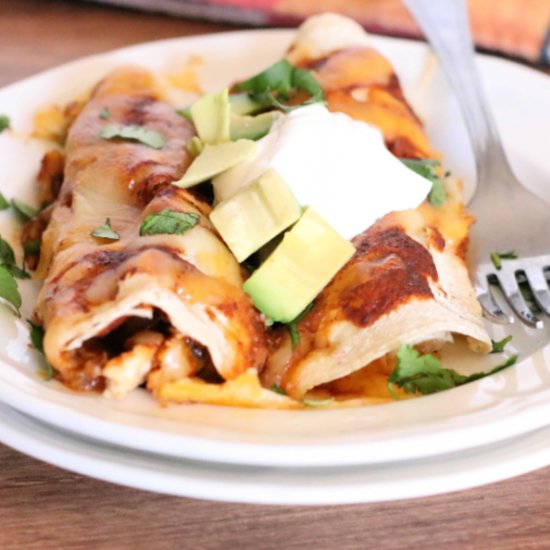 Savory Gluten Free Enchiladas