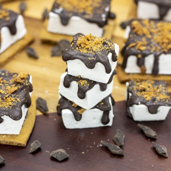 homemade marshmallow s’mores;