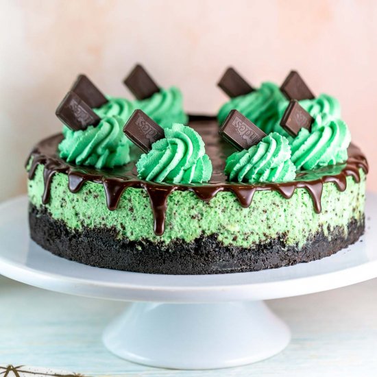 Mint Chocolate Cheesecake