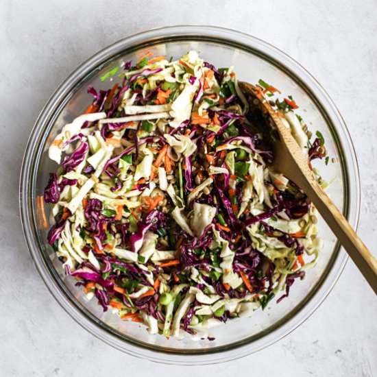 Healthy Coleslaw