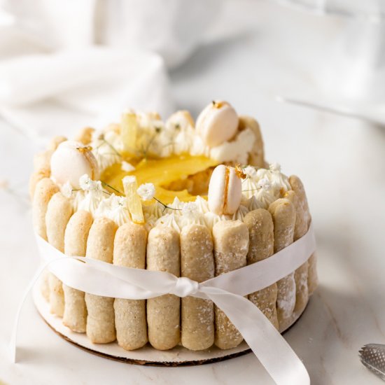 Lemon Charlotte Macaron Cake