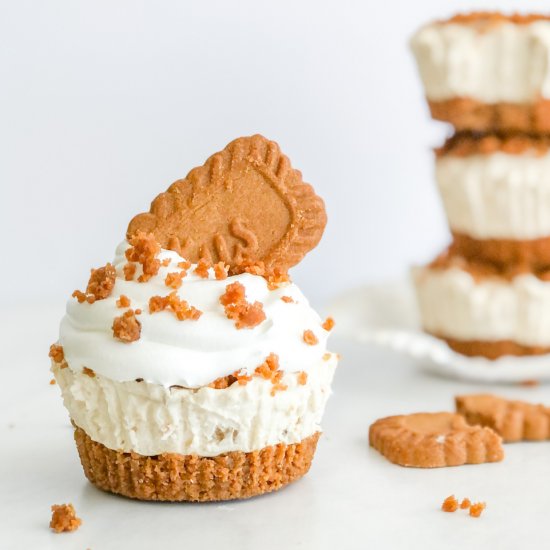 No Bake Mini Biscoff Cheesecakes